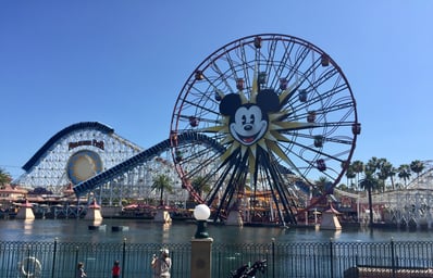 Disney Wheel