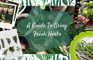 guide to herbs