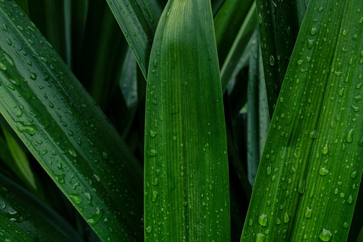 pexels photo 5857658